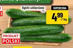 Polomarket Ogórki szklarniowe oferta