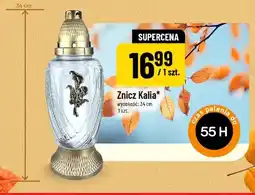 Polomarket Znicz Kalia oferta