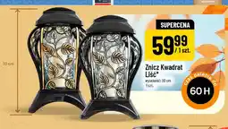 Polomarket Znicz Kwadrat Liść oferta