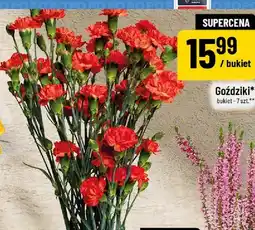 Polomarket GoŹdziki bukiet 7 szt oferta