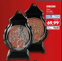 Kaufland Znicz Drzewko bez wkładu oferta