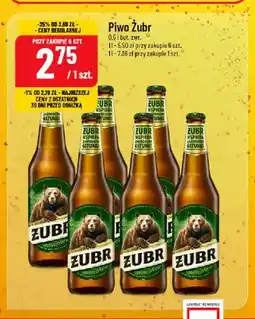 Polomarket Piwo Żubr oferta