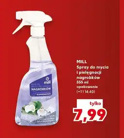 Kaufland Spray do mycia i pielęgnacji nagrobków Mill oferta