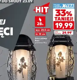 Kaufland Znicz szklany Róża oferta