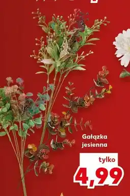 Kaufland Gałązka jesienna oferta