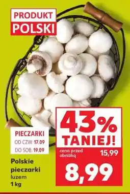 Kaufland Polskie pieczarki luzem 1 kg oferta