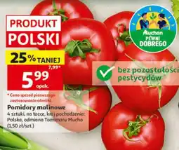 Auchan Pomidor malinowe oferta