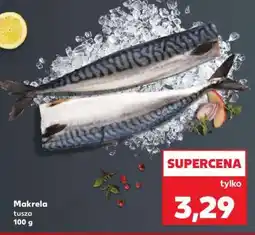 Kaufland Makrela tusza 100 g oferta