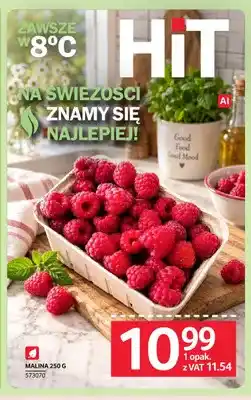 Selgros Maliny oferta