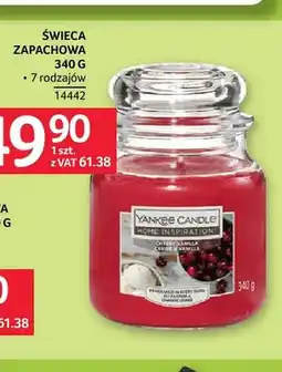 Selgros Świeca zapachowa 340 g Yankee Candle oferta