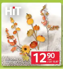 Selgros Gałązka jesienna oferta