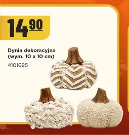 MR. DIY Dynia dekoracyjna 10x10 cm oferta