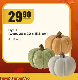 MR. DIY Dynia 20x20x15,5 cm oferta