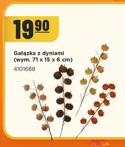 MR. DIY Gałązka z dyniami oferta