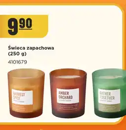 MR. DIY Świeca zapachowa Harvest Spice oferta