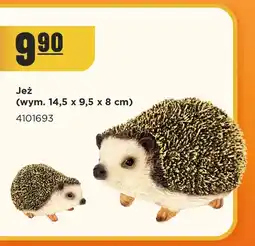MR. DIY Jeż oferta