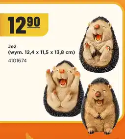 MR. DIY Jeż 12,4x11,5x13,8 cm oferta