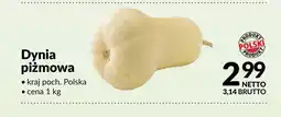 Makro Dynia piżmowa polska oferta