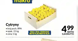 Makro Cytryny oferta
