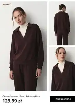 Greenpoint Ciemnobrązowa bluza z kołnierzykiem Greenpoint oferta