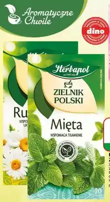Dino Herbatka ziołowa Zielnik Polski Herbapol oferta