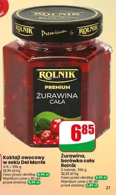 Dino Borówka cała Rolnik oferta