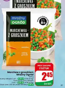 Dino Marchew z groszkiem Mroźny Ogród oferta
