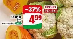 Dino Kalafior oferta