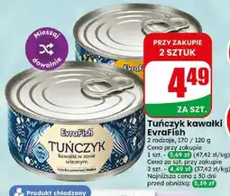 Dino Tuńczyk kawałki EvraFish oferta