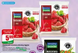 Dino Truskawki mrożone Mroźny Ogród oferta