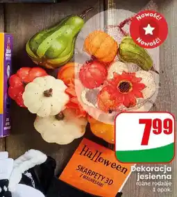 Dino Dekoracja jesienna oferta
