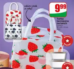 Dino Torba termiczna na lunch 23x19x13 cm oferta