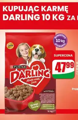 Dino Sucha karma dla psa wołowina Darling oferta