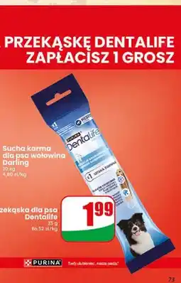 Dino Przekąska dla psa Dentalife oferta
