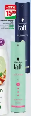 Dino Lakier do włosów Taft Schwarzkopf oferta