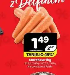 Delfin Marchew polska oferta