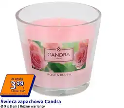 Action Świeca zapachowa Candra oferta