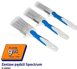Action Zestaw pędzli Spectrum, 3 części oferta