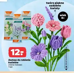 Netto Zestaw do robienia kwiatów oferta