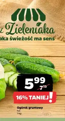Netto Ogórki gruntowe oferta