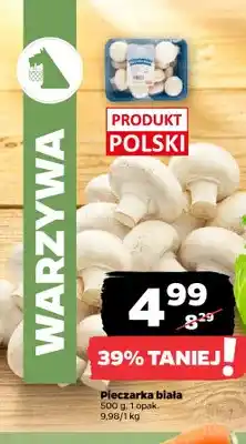 Netto Pieczarki białe oferta