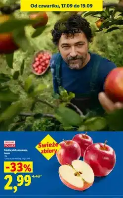 Lidl Jabłka czerwone polskie luzem oferta