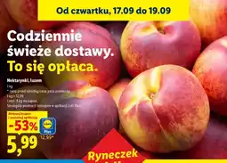 Lidl Nektarynki luzem oferta