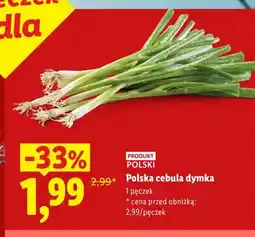 Lidl Polska cebula dymka oferta
