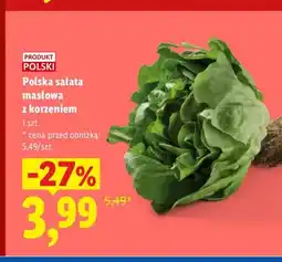 Lidl Polska sałata masłowa z korzeniem oferta