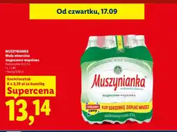Lidl Woda mineralna gazowana magnezowo-wapniowa Muszynianka 6-pak oferta