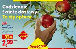 Lidl Polskie jabłka czerwone oferta