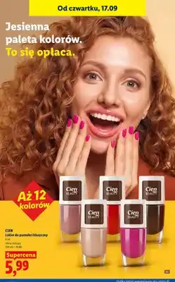 Lidl Lakier do paznokci klasyczny Cien oferta