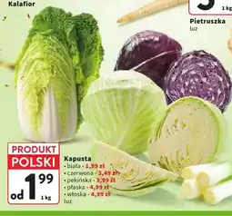 Intermarche Kapusta biała oferta