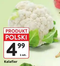Intermarche Kalafior oferta